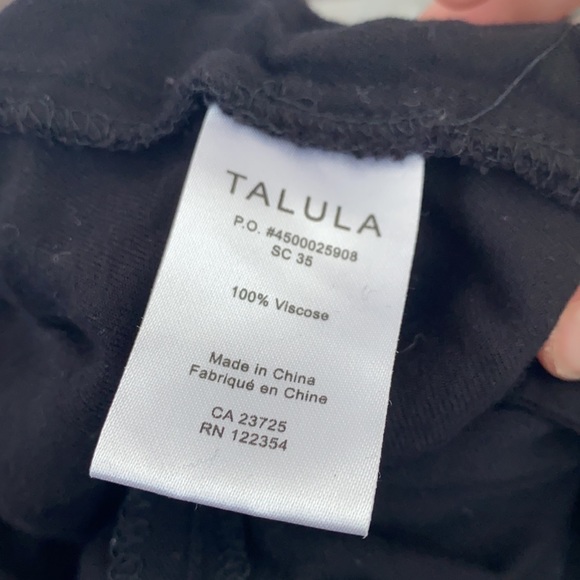 Aritzia Talula Los Feliz Jogger Pant - Picture 4 of 4